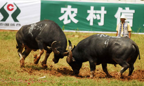 点击浏览下一页