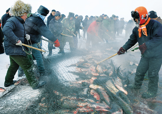 点击浏览下一页