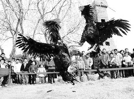 点击浏览下一页