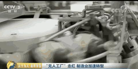 活动公司：神奇！1小时包10万个饺子！谁这么厉害？