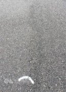 活动公司：台桃园机场跑道下周关