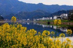 <b>公关公司：因为啥事儿？ 中央和两</b>