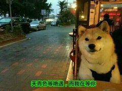 公关策划：锤子新品发布会全程直
