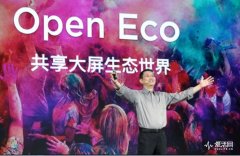 <b>线上活动策划：Open Echo发布会五连</b>