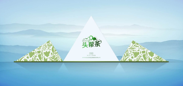大型活动策划：深圳市柏星龙创意包装股份有限公司