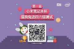 开业庆典：小米笔记本双11大促,新