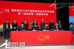活动策划公司：“运城苹果”品牌