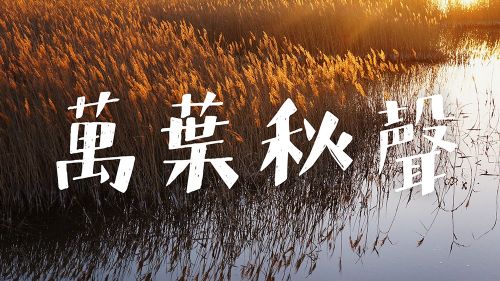 方正字迹-白关手绘