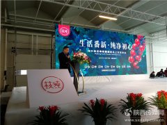 <b>活动公司：海升集团新品“串收番</b>