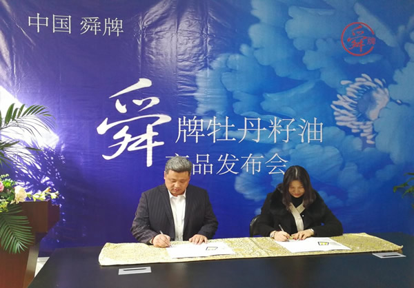 年会策划： 此次新品发布会现场