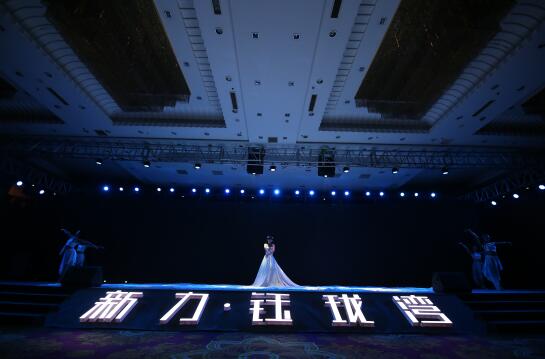 活动公司：[全新全力 为宁而来]新力钰珑湾产品发布会圆满落幕