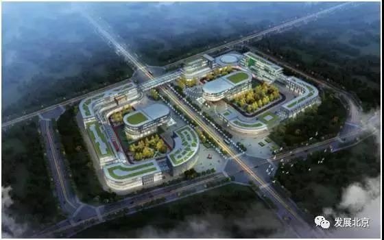 高端活动策划：重点进行城市功能体系和空间布局研究