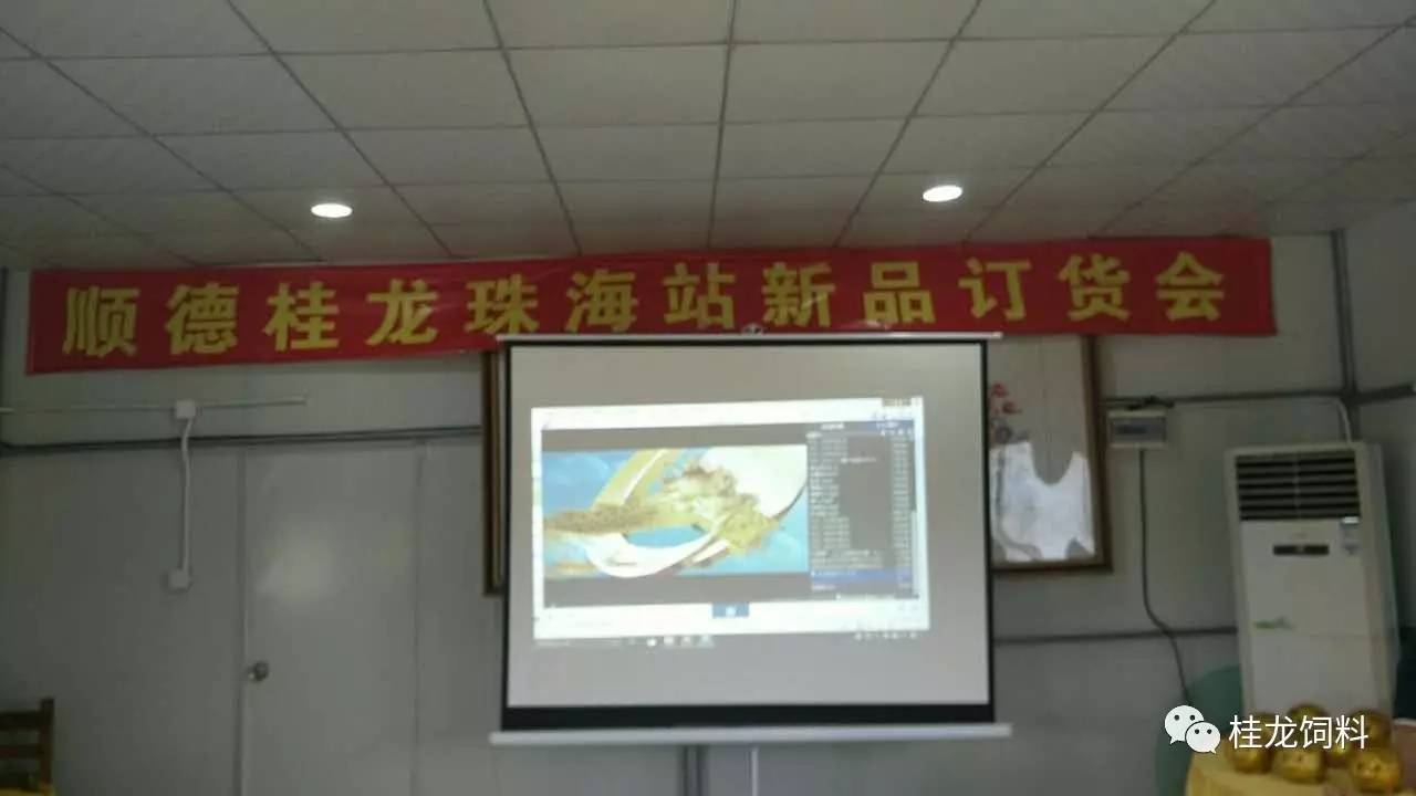 大型活动策划：各位兄弟姐妹们大力支持