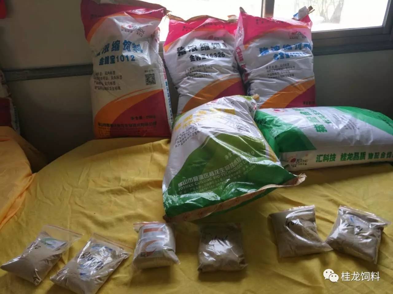 大型活动策划：各位兄弟姐妹们大力支持