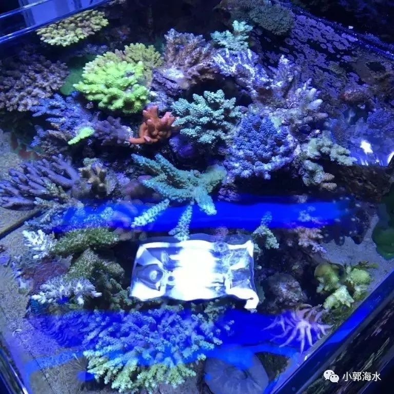 活动策划公司：缓释技术保证了硝化细菌的稳定增长