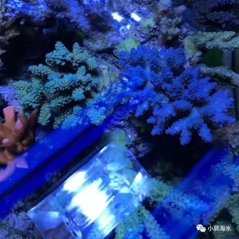 活动策划公司：缓释技术保证了硝化细菌的稳定增长