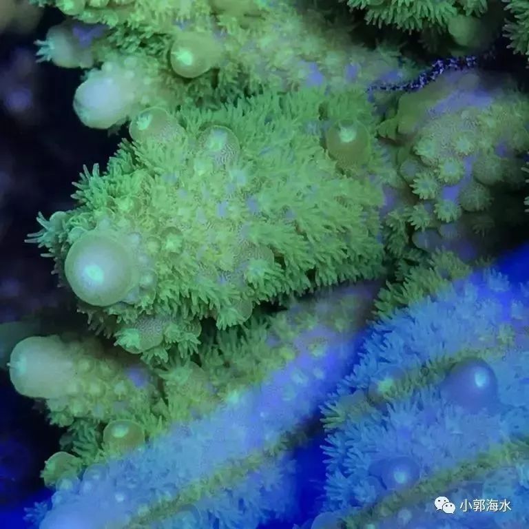 活动策划公司：缓释技术保证了硝化细菌的稳定增长