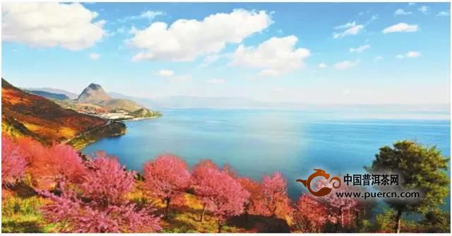 公关活动策划：中国茶叶普洱茶事业部2018年全国经销商大会暨戊戌生肖饼发布会邀请函