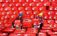 活动策划公司：新年“出口季”已