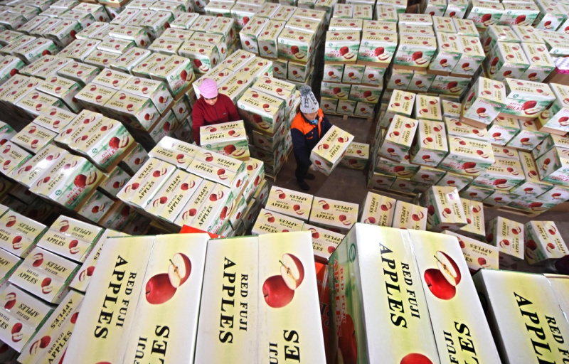 活动策划公司：新年“出口季”已经开启