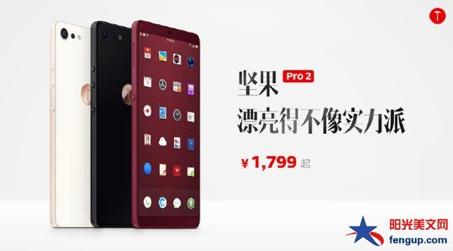 坚果Pro2