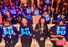 公关活动策划： AI语音助手——糖