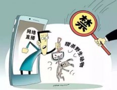 年会活动策划：而且主播的直播行
