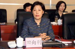 公关公司：四川省委常委田向利(女