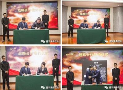 开业庆典：   通过会议交流