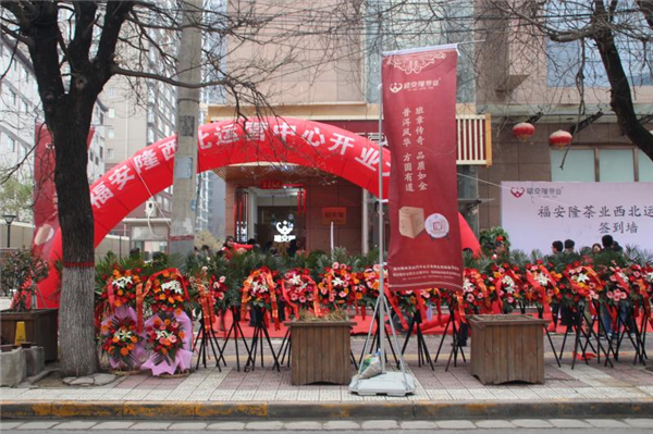 服装发布会策划：融合老班章、新班章、老曼峨、坝卡囡、坝卡龙五寨于一体