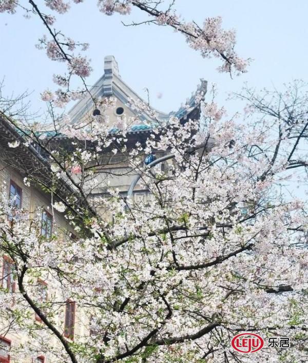 北湖中央花园