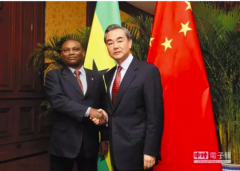 企业活动策划：外交部部长王毅（