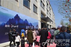 大型活动策划：一同见证此场盛事