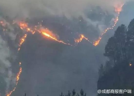 公关公司：甘孜州将继续坚持“有责必追、追责必严”的森林防火工作制度